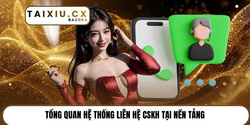 Tổng quan hệ thống liên hệ CSKH tại nền tảng